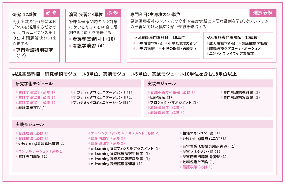 看護実践学コース高度実践看護学プログラムカリキュラム