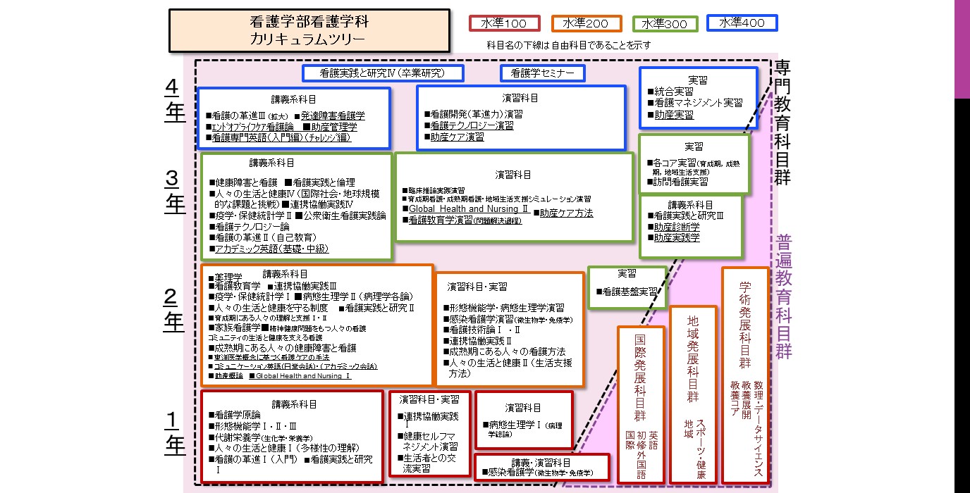 看護学部のカリキュラム