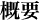 概要