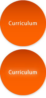 Curriculum