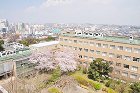 A view of the courtyard from the administrative building