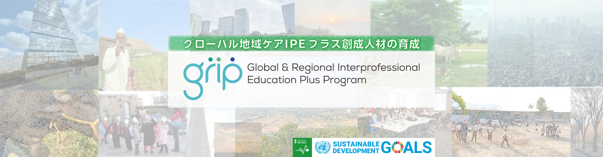Global & Regional Interprofessional Education Plus Program：GRIP Program