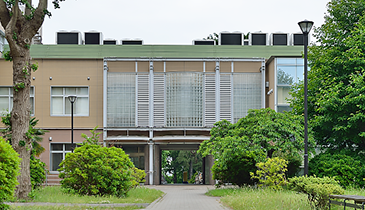 看護学研究院について