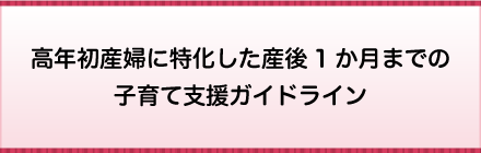 高年初産婦に特化した産後1か月までの子育て支援ガイドライン