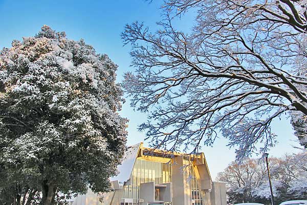 亥鼻キャンパスも雪景色となりました 写真